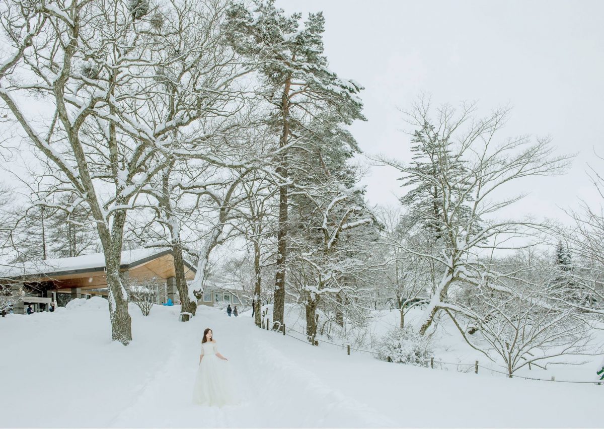 海外婚紗、日本、雪景